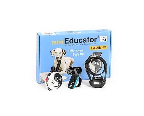 Mini Educator ZEN-300-C Remote Dog Training Collar | 1 Dog, 1/2 Mile Range, 100 Levels thumbnail 1