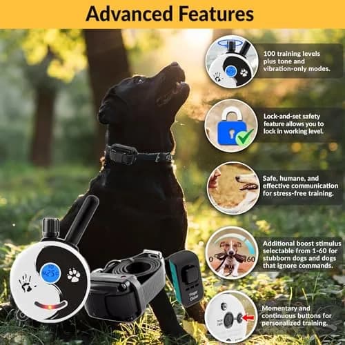 Mini Educator ZEN-300-C Remote Dog Training Collar | 1 Dog, 1/2 Mile Range, 100 Levels thumbnail 2