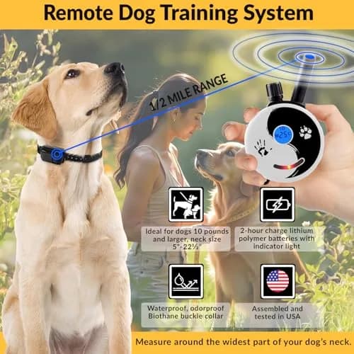 Mini Educator ZEN-300-C Remote Dog Training Collar | 1 Dog, 1/2 Mile Range, 100 Levels thumbnail 3