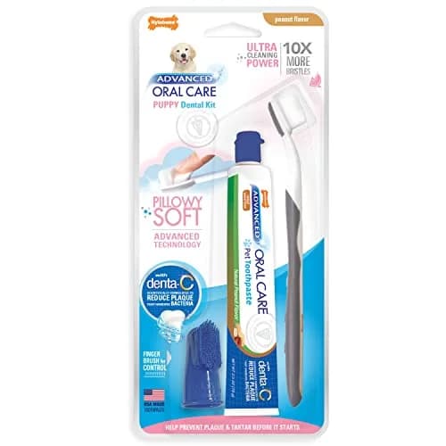 Nylabone Puppy Dental Kit with Soft-Bristle Toothbrush & Peanut Butter Paste | Veterinarian-Recommended thumbnail 1