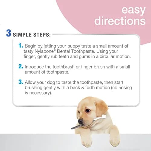 Nylabone Puppy Dental Kit with Soft-Bristle Toothbrush & Peanut Butter Paste | Veterinarian-Recommended thumbnail 4