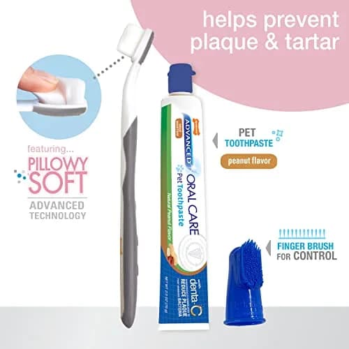Nylabone Puppy Dental Kit with Soft-Bristle Toothbrush & Peanut Butter Paste | Veterinarian-Recommended thumbnail 5