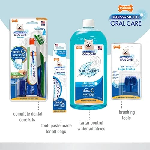 Nylabone Puppy Dental Kit with Soft-Bristle Toothbrush & Peanut Butter Paste | Veterinarian-Recommended thumbnail 6