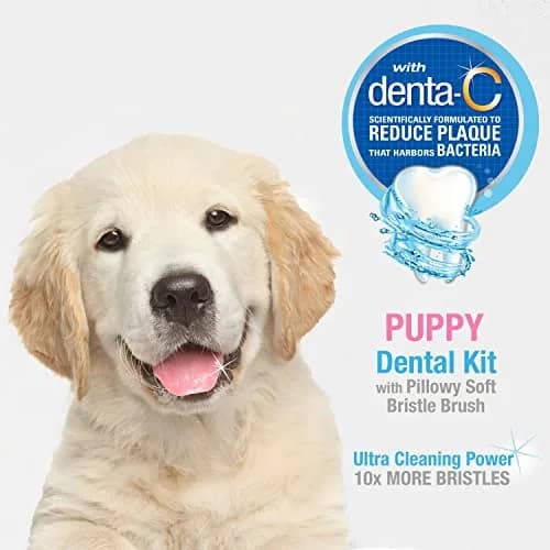 Nylabone Puppy Dental Kit with Soft-Bristle Toothbrush & Peanut Butter Paste | Veterinarian-Recommended thumbnail 2
