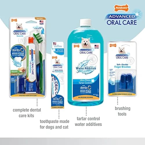 Nylabone Advanced Oral Care Senior Dog Dental Kit with Cushiony Soft-Bristle Toothbrush & Bacon Toothpaste (2.5 oz Tube) thumbnail 4