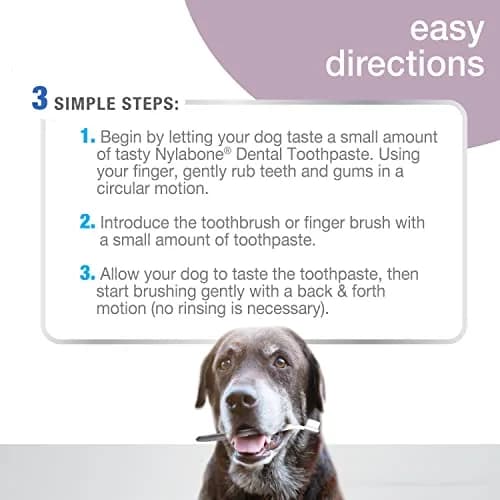 Nylabone Advanced Oral Care Senior Dog Dental Kit with Cushiony Soft-Bristle Toothbrush & Bacon Toothpaste (2.5 oz Tube) thumbnail 6