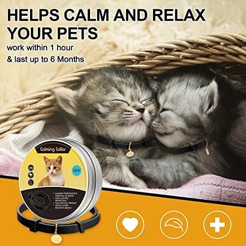 Weewooday 4pcs Black Cat Calming Collar with Pendants 38cm (15 Inches) | Pheromone-Infused for Stress & Anxiety Relief thumbnail 2