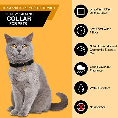Weewooday 4pcs Black Cat Calming Collar with Pendants 38cm (15 Inches) | Pheromone-Infused for Stress & Anxiety Relief thumbnail 3