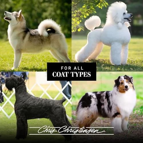 Chris Christensen Gallon Pump Dispenser for Dog Shampoos and Conditioners, 1 oz (30 ml) per Pump | Groom Like a Professional thumbnail 3
