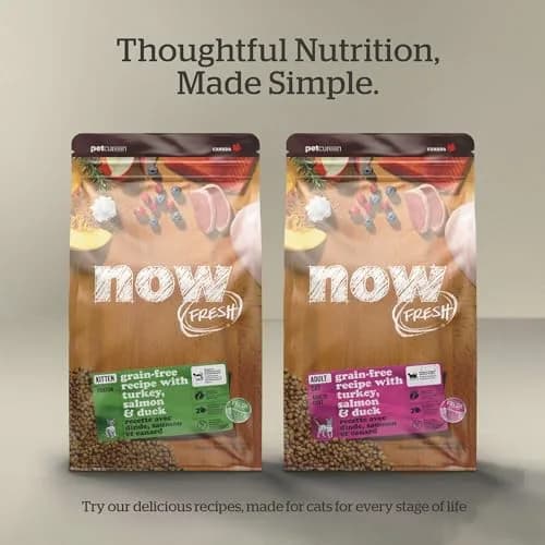 Now Fresh Senior Dry Cat Food, Turkey, Salmon & Duck, 16 lb | Grain-Free & Supports Aging Cats thumbnail 5