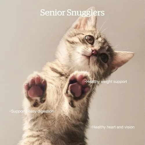 Now Fresh Senior Dry Cat Food, Turkey, Salmon & Duck, 16 lb | Grain-Free & Supports Aging Cats thumbnail 2