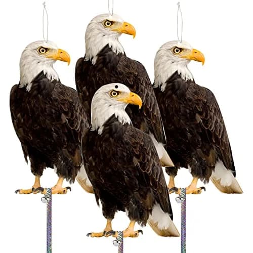 Kungfu Mall Flat Fake Owl Bird Deterrent 4PCS | Effective Pigeon & Squirrel Repellent for Gardens & Balconies thumbnail 1