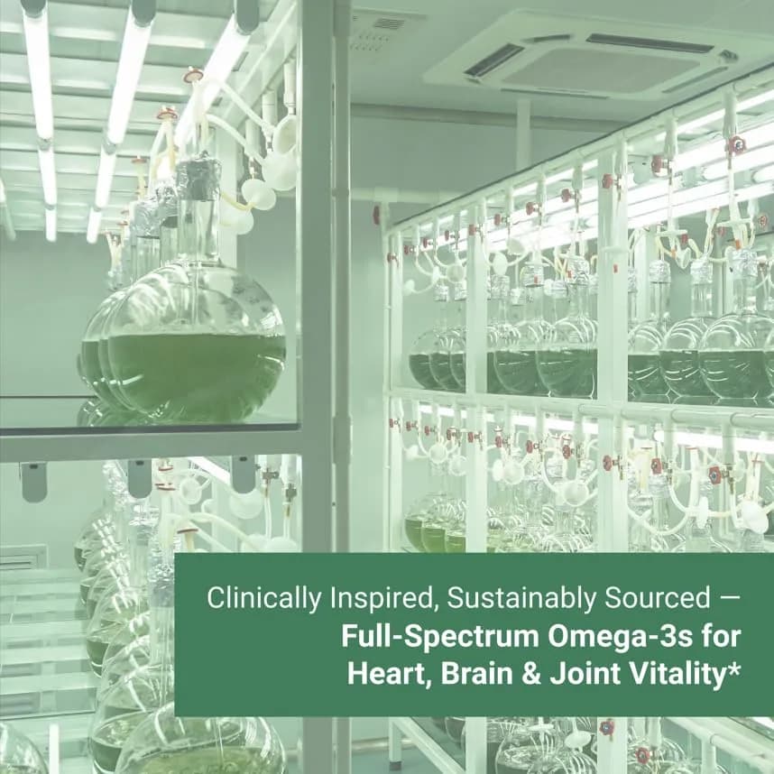 Naturalis Vegan Omega 3 520mg 120 Softgels | Vegan Algal Oil for Heart & Joint Support thumbnail 5