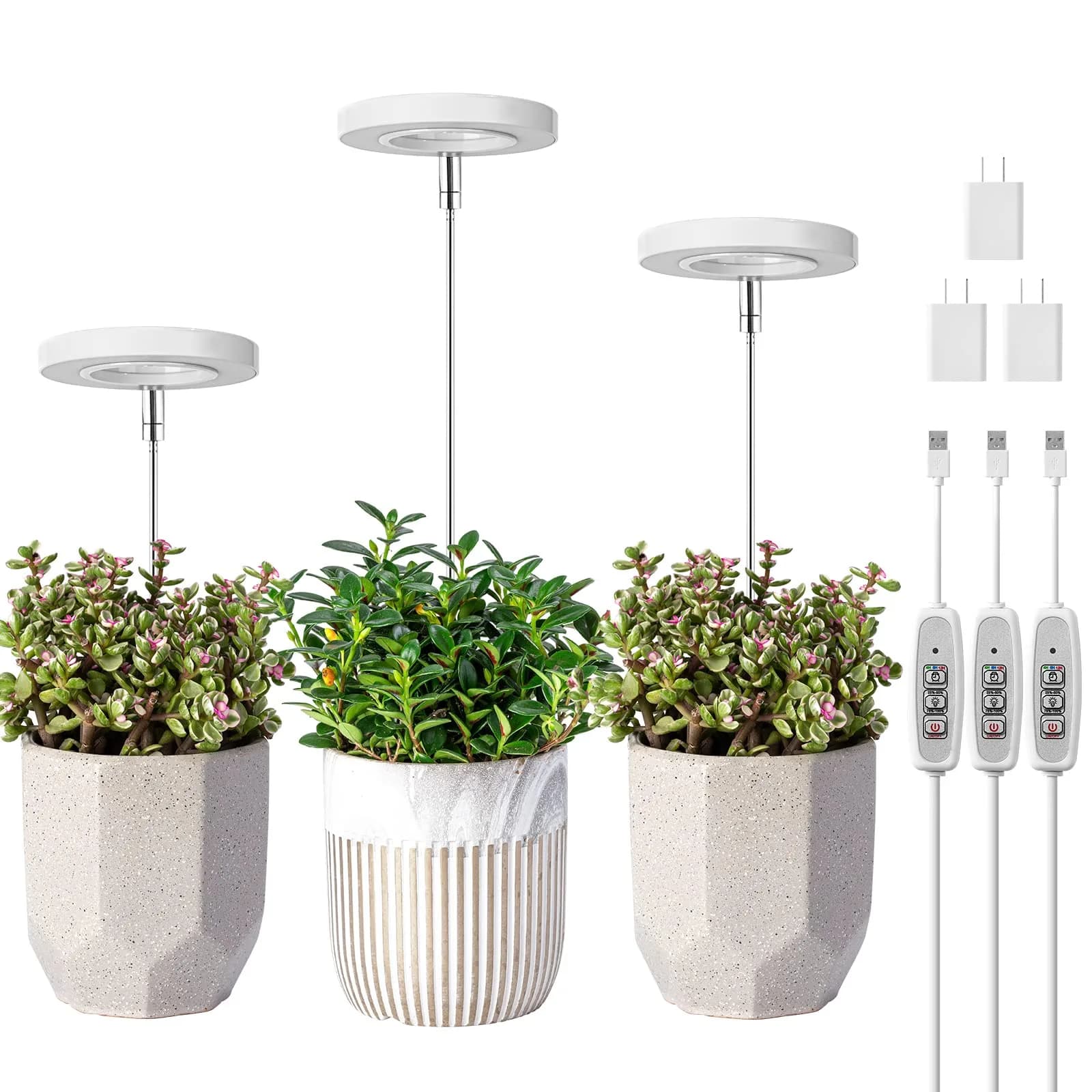 LORDEM Grow Light for Indoor Plants, Full Spectrum LED 2 Packs | Auto Timer & Dimmable Brightness (70-120 chars) — White-3.54in