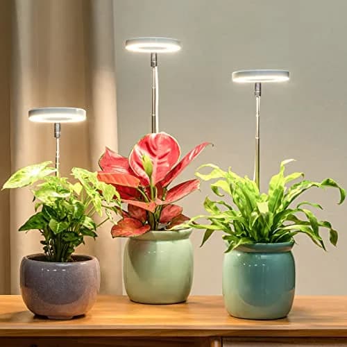 LORDEM Full Spectrum LED Grow Light for Indoor Plants | 3 Pack Height Adjustable, Auto Timer, Dimmable, Stylish Design (3 Pack, White) thumbnail 2