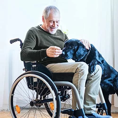 AUVON Memory Foam Wheelchair Seat Cushion 18"x16"x3" for Sciatica & Back Support thumbnail 2