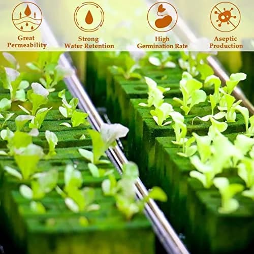 Legigo 200 Rockwool Cubes Seed Starter Plugs 1 Inch | Hydroponics & Soilless Cultivation thumbnail 4