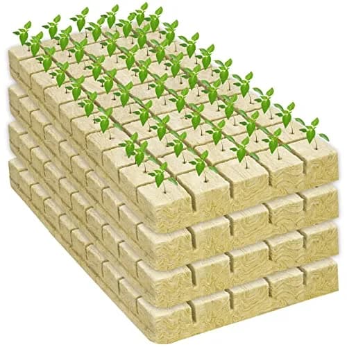 Legigo 200 Rockwool Cubes Seed Starter Plugs 1 Inch | Hydroponics & Soilless Cultivation thumbnail 8