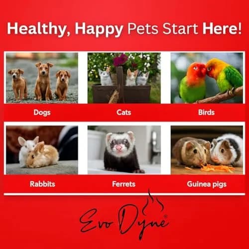 Evo Dyne Styptic Powder 2-Pack 2 oz (56g) for Dogs, Cats & Birds | Fast Bleeding Stop for Pet Nail Trims thumbnail 4