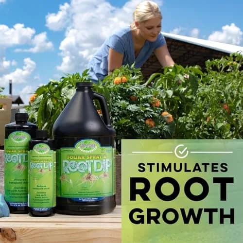 Microbe Life Hydroponics Additive Kit | Boost Plant Growth & Yields, Safe for Indoor & Outdoor Use thumbnail 4