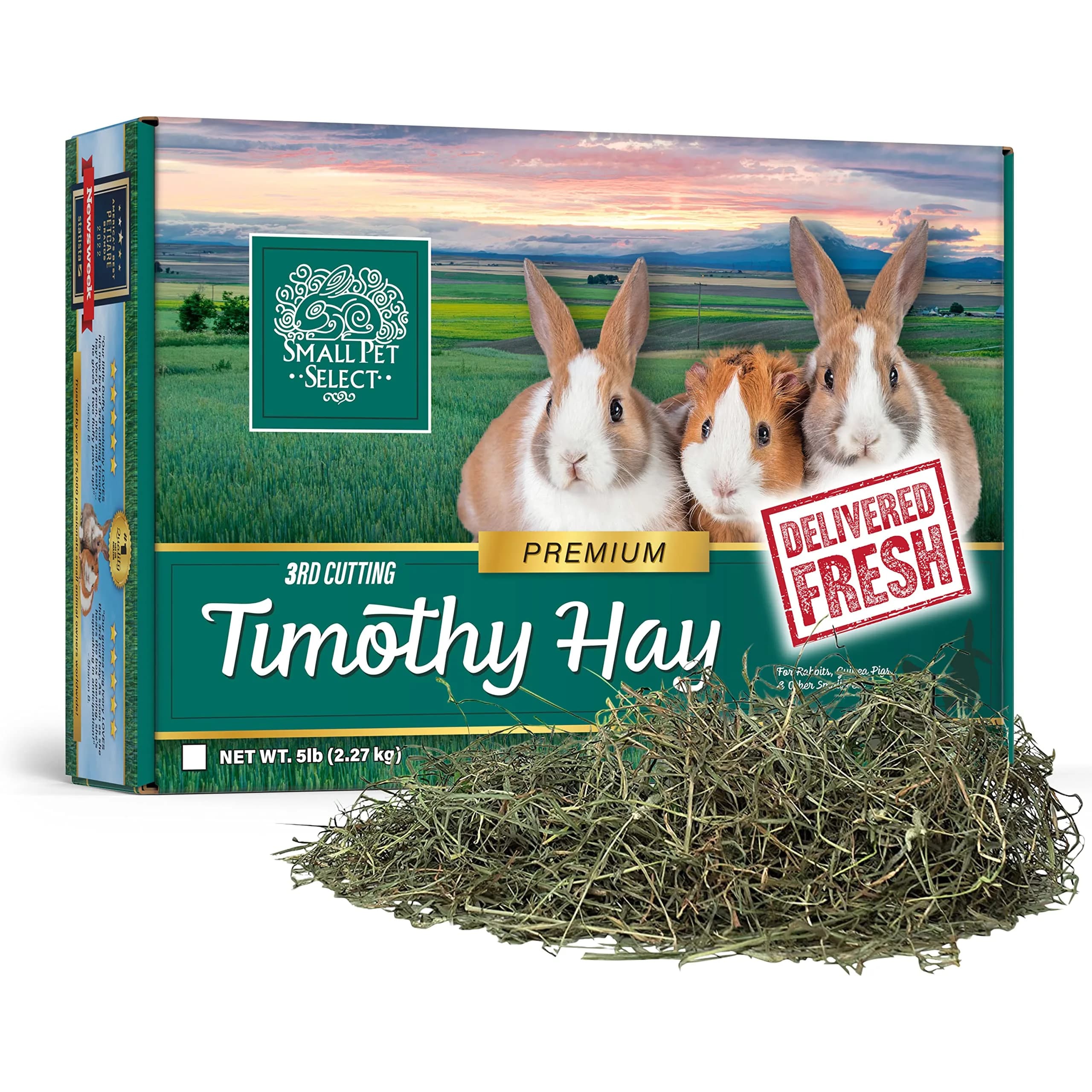 Small Pet Select 3rd Cutting Timothy Hay for Rabbits & Guinea Pigs | Ultra-Soft, High Fiber, USA Grown