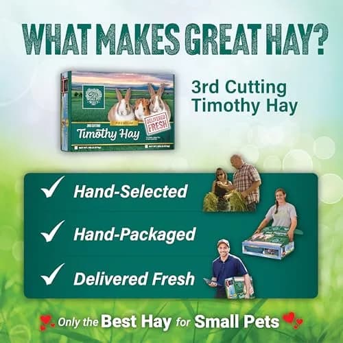 Small Pet Select 3rd Cutting Timothy Hay for Rabbits & Guinea Pigs | Ultra-Soft, High Fiber, USA Grown thumbnail 6