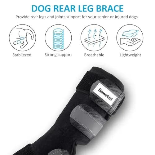 Bawektrl Dog Leg Brace for Back Leg, Canine Hock Brace with Dual Metal Strips, 1 Pair Black | Supports Hind Leg Injuries, Sprains, Arthritis, Torn ACL thumbnail 4