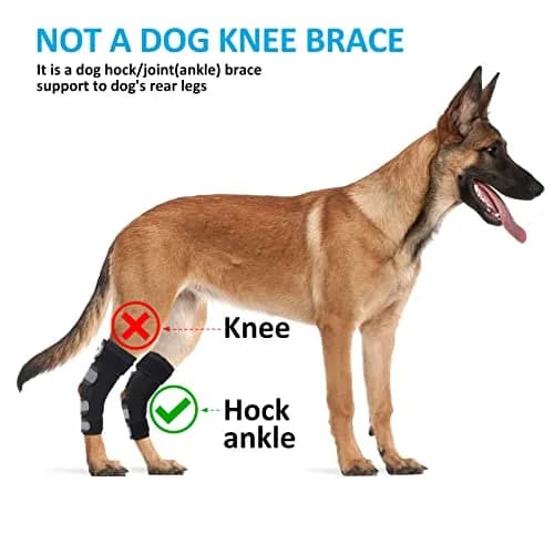 Bawektrl Dog Leg Brace for Back Leg, Canine Hock Brace with Dual Metal Strips, 1 Pair Black | Supports Hind Leg Injuries, Sprains, Arthritis, Torn ACL thumbnail 7