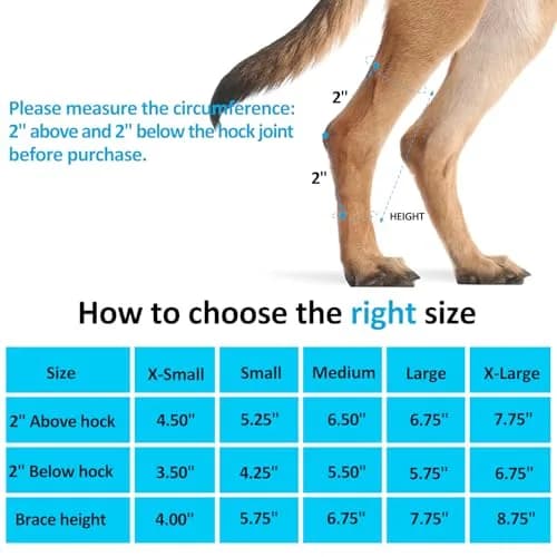 Bawektrl Dog Leg Brace for Back Leg, Canine Hock Brace with Dual Metal Strips, 1 Pair Black | Supports Hind Leg Injuries, Sprains, Arthritis, Torn ACL thumbnail 3