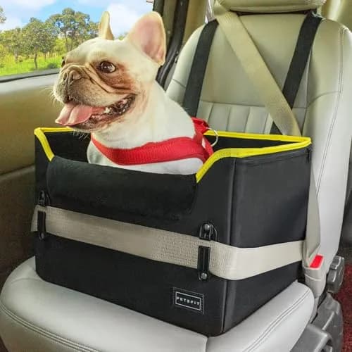 Petsfit Small Dog Car Seat – Foldable Travel Booster with Safety Buckles & Tether, Fits Front/Back Seat | Red thumbnail 1