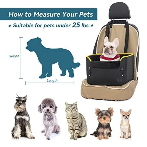 Petsfit Small Dog Car Seat – Foldable Travel Booster with Safety Buckles & Tether, Fits Front/Back Seat | Red thumbnail 7