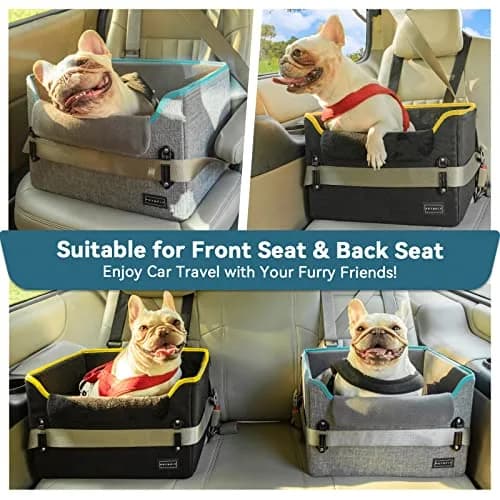Petsfit Small Dog Car Seat – Foldable Travel Booster with Safety Buckles & Tether, Fits Front/Back Seat | Red thumbnail 2