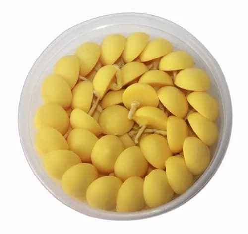 Om Phool Batti Cow Ghee Diya for Puja, 100 Pieces, Wax Free Vegan Ghee Batti/Wicks/Jyot for Puja Aarti, Yellow | 200g (Pack of 100) thumbnail 1