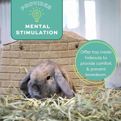 Oxbow Western Timothy Hay 40 lb | High Fiber, USA, Natural for Small Pets thumbnail 8