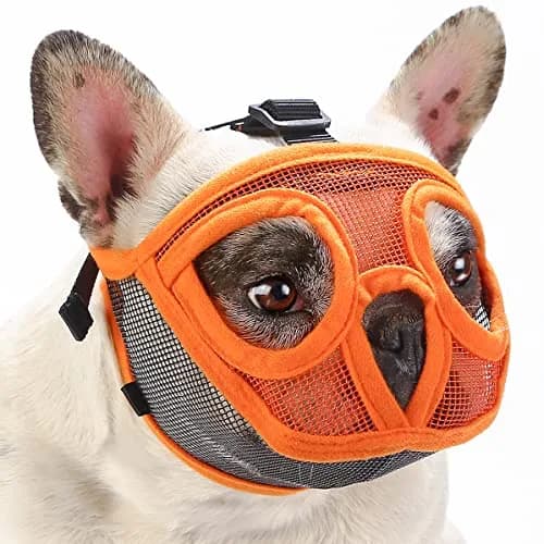 BARKLESS Short Snout Muzzle for French Bulldog, Shih Tzu, XXS (Head 8.5-12.5in / 22-32cm) Orange | Prevents Biting, Chewing, Licking Wounds thumbnail 1