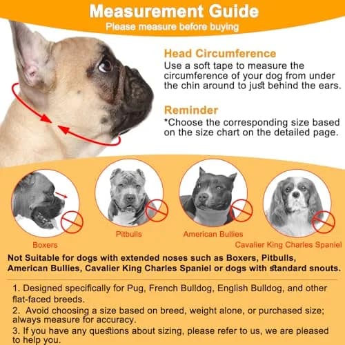 BARKLESS Short Snout Muzzle for French Bulldog, Shih Tzu, XXS (Head 8.5-12.5in / 22-32cm) Orange | Prevents Biting, Chewing, Licking Wounds thumbnail 4