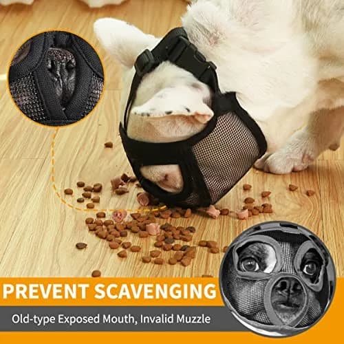 BARKLESS Short Snout Muzzle for French Bulldog, Shih Tzu, XXS (Head 8.5-12.5in / 22-32cm) Orange | Prevents Biting, Chewing, Licking Wounds thumbnail 3
