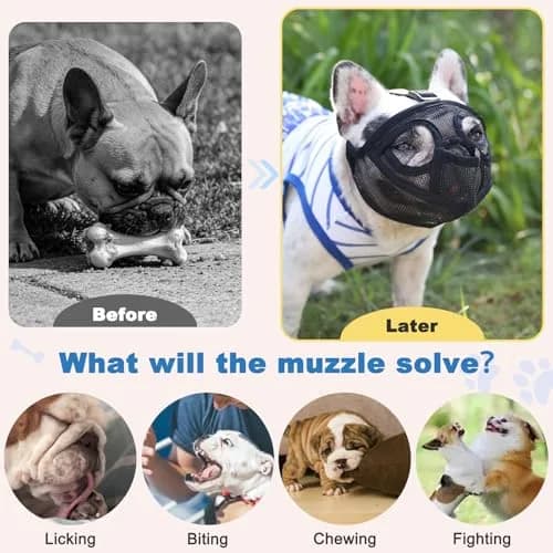 BARKLESS French Bulldog Muzzle XXS (Head 8.5-12.5'') | Breathable Mesh Short Snout Dog Muzzle thumbnail 6