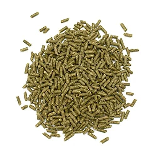 Oxbow Essentials Senior Rabbit Food High-Fiber Pellets 1.81 kg (4 lb) | Vet-Formulated for Digestive Health thumbnail 5