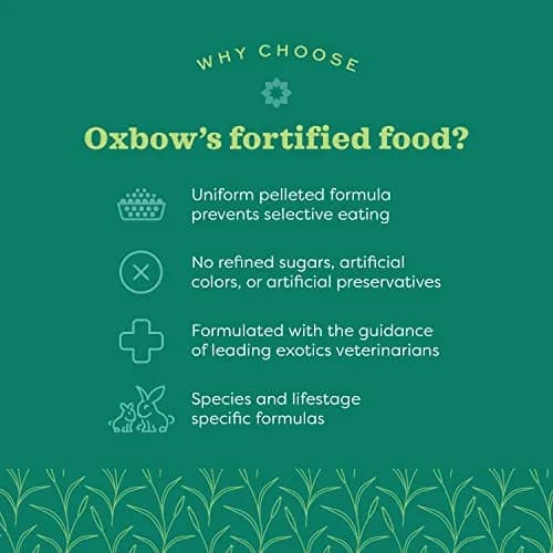Oxbow Essentials Senior Rabbit Food 3.63 kg (8 lb) | High-Fiber Timothy Hay Pellets for Digestive Health thumbnail 5