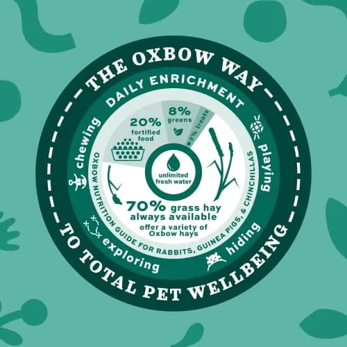 Oxbow Essentials Senior Rabbit Food 3.63 kg (8 lb) | High-Fiber Timothy Hay Pellets for Digestive Health thumbnail 8