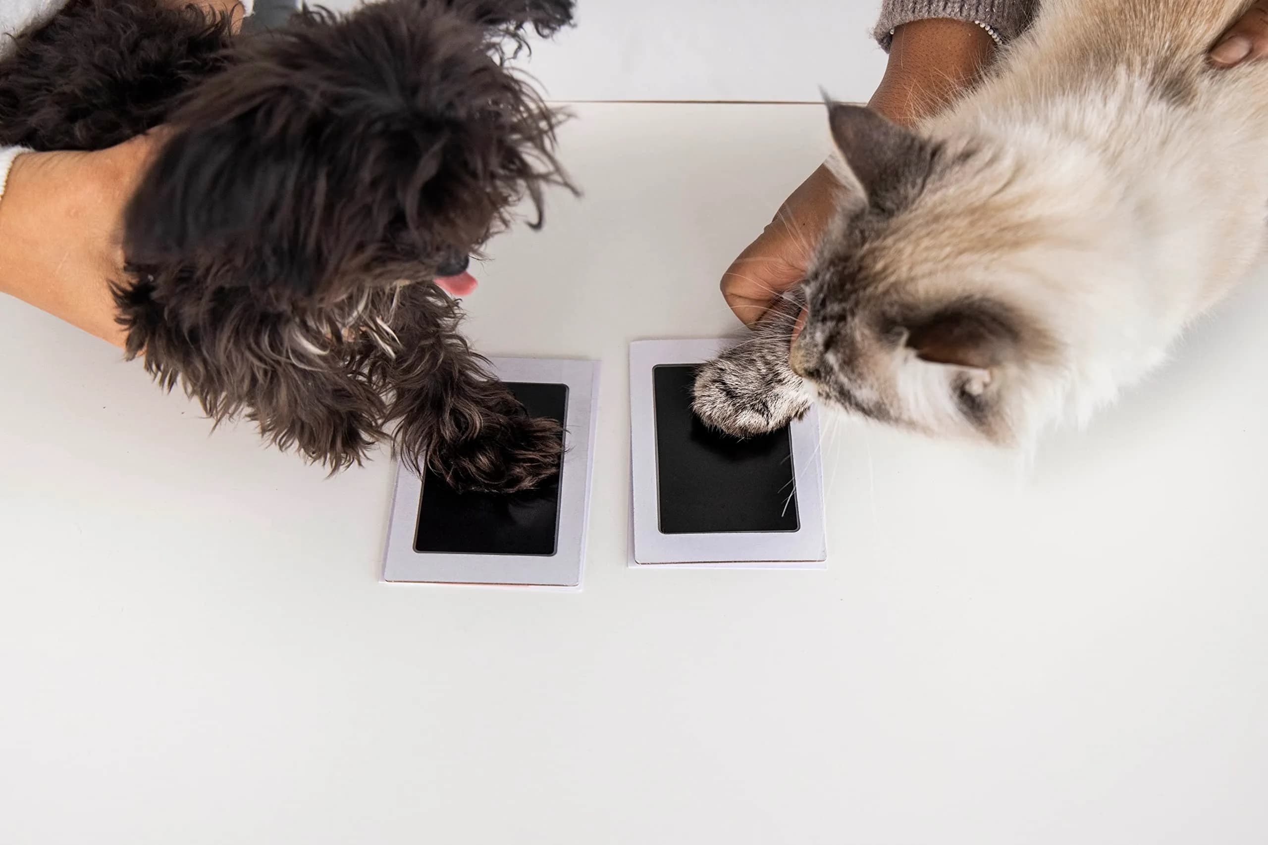 Pearhead Paw Print Clean-Touch Ink Pad Kit, Mess Free Inkless Pet Impression Kit, Safe for Cats and Dogs, Pack of 2 - view 7