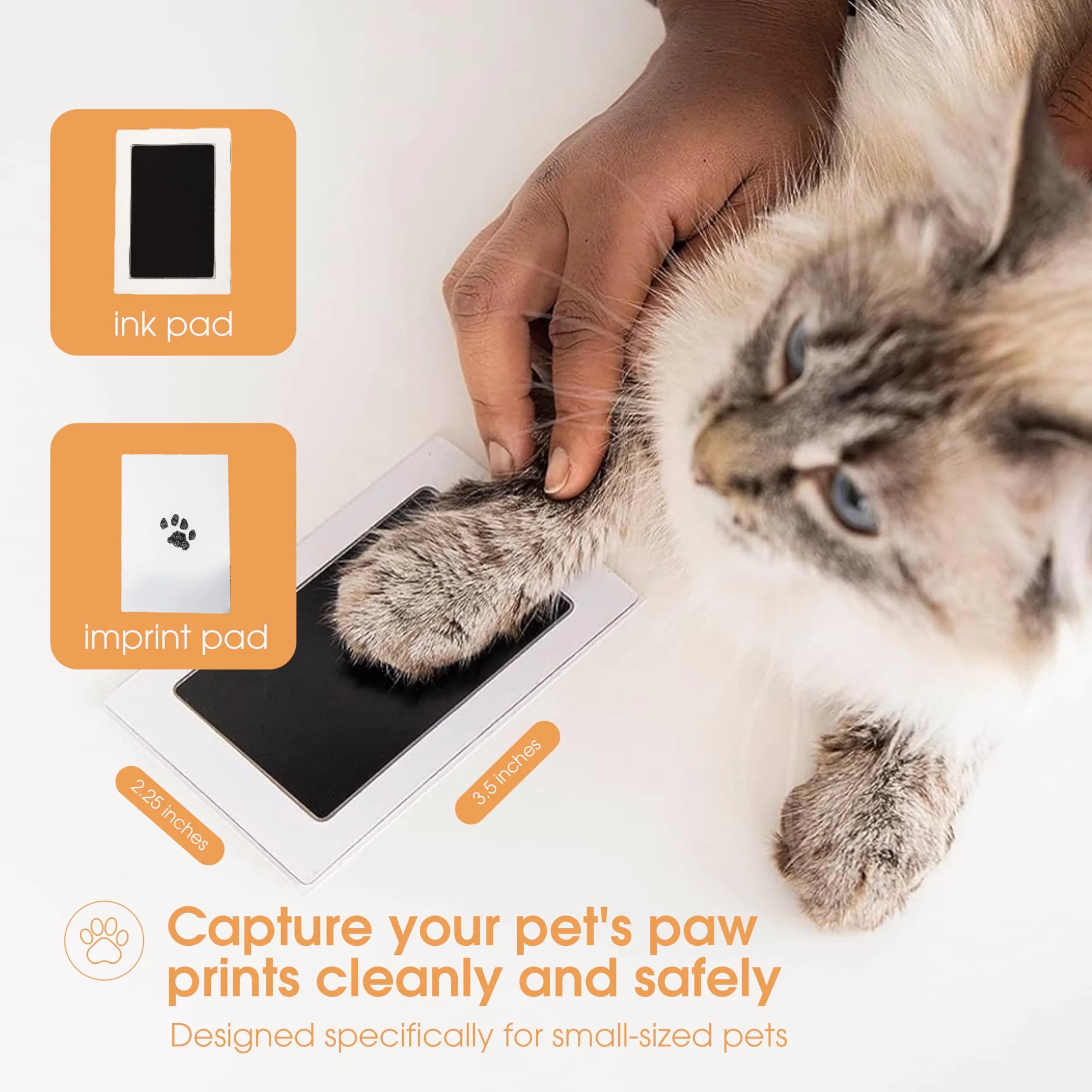 Pearhead Paw Print Clean-Touch Ink Pad Kit, Mess Free Inkless Pet Impression Kit, Safe for Cats and Dogs, Pack of 2 - view 2
