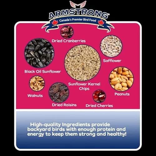 Armstrong Bird Food Royal Jubilee Persistence Blend, 4 Pounds | Premium Bird Seed for Nut & Fruit Lovers thumbnail 4