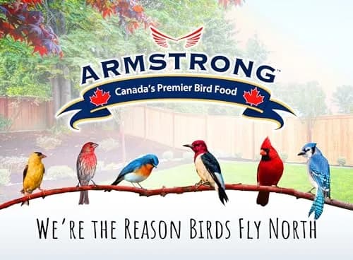Armstrong Bird Food Royal Jubilee Persistence Blend, 4 Pounds | Premium Bird Seed for Nut & Fruit Lovers thumbnail 6