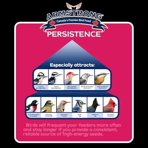Armstrong Bird Food Royal Jubilee Persistence Blend, 4 Pounds | Premium Bird Seed for Nut & Fruit Lovers thumbnail 3