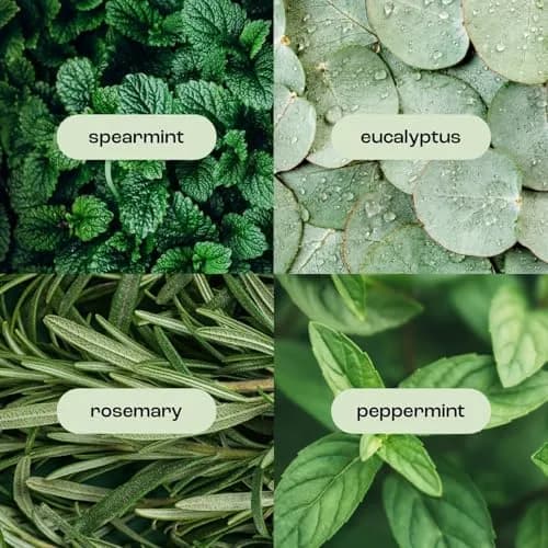 Natural Inspirations Eucalyptus Rosemary Mint Moisturizing Bath & Shower Gel 12.5oz | Sulfate-Free, Vegan, Hydrating thumbnail 4