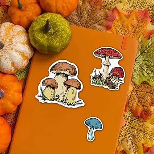 INFUNLY Mushroom Stamps and Dies for Card Making | Mushroom Pattern Die & Stamp Set for DIY Scrapbooking & Decor thumbnail 3