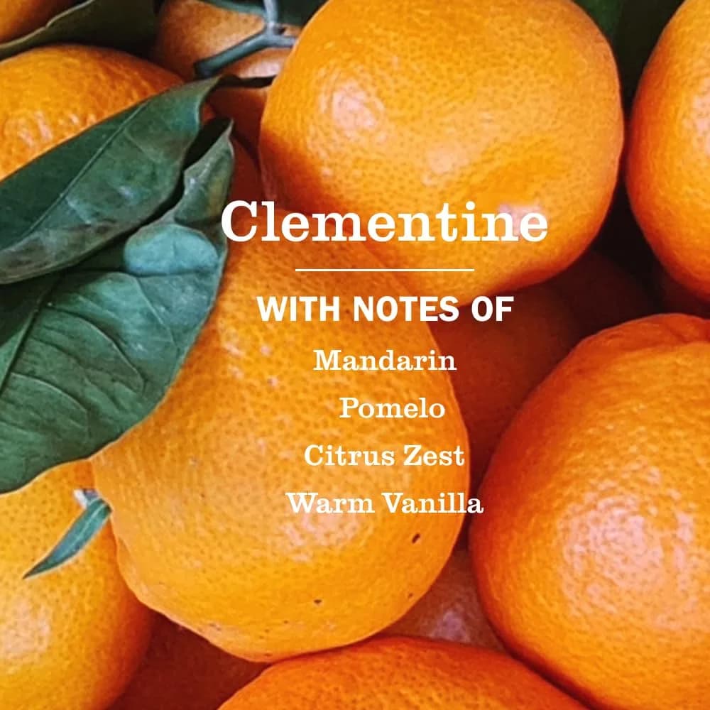 Mrs. Meyer's Clean Day Hand Soap Clementine Scent 375ml (12.5 Fl Oz) | Moisturizing Liquid Soap for Normal Skin - view 2