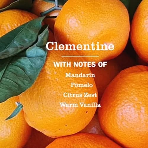 Mrs. Meyer's Clean Day Hand Soap Clementine Scent 375ml (12.5 Fl Oz) | Moisturizing Liquid Soap for Normal Skin thumbnail 2
